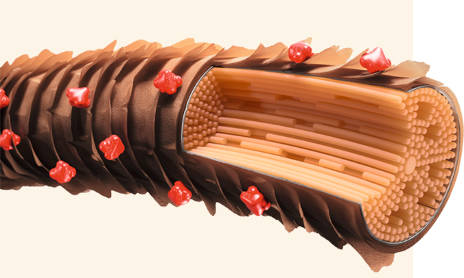 formula Picture hair