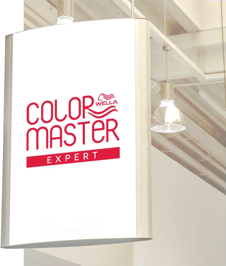 wella Color Master